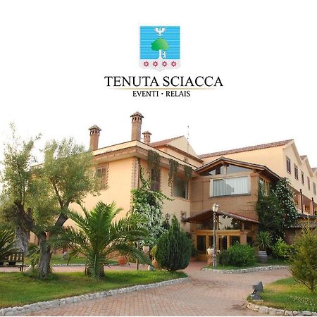 Willa Tenuta Sciacca Falciano del Massico Zewnętrze zdjęcie