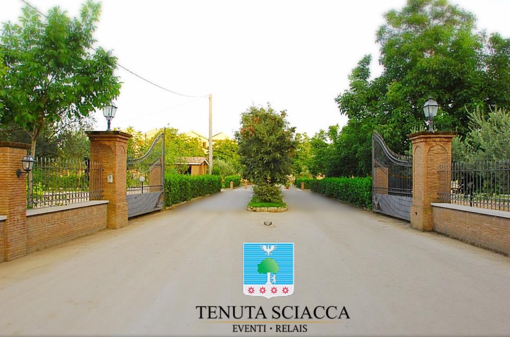 Willa Tenuta Sciacca Falciano del Massico Zewnętrze zdjęcie